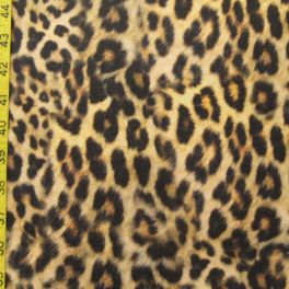 Animal Print